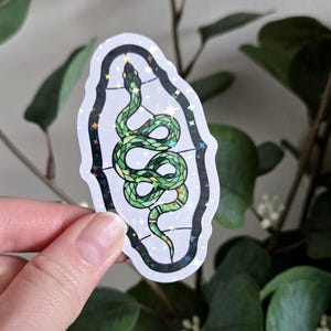 May include: A holographic sticker featuring a green snake in a stained-glass style design. The snake is coiled within a black and white border, with star-shaped accents. The sticker has a shiny, iridescent finish.