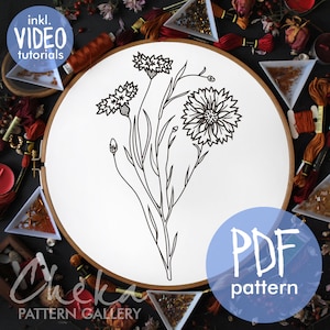 Blue Cornflower, embroidery pattern. Beautiful blue cornflower, floral embroidery.A pattern for decoration in a rural style, hand embroidery
