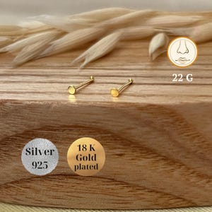 May include: Two nose rings on a wooden surface. The nose rings are made of silver and gold. The silver nose ring is labeled "Silver 925" and the gold nose ring is labeled "18K Gold plated". The nose rings are 22 gauge.
