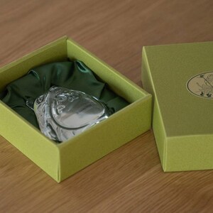 May include: A silver-colored, fish-shaped object rests on green satin fabric inside a light green box. The box is open, revealing the object, and is next to a closed box of the same color.