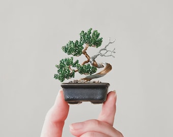 Kit de Bonsai de Miçangas Nejitte Shimpaku Miniatura Artesanato Japonês Enviado do Japão