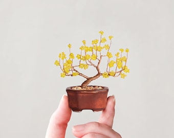 Kit de Bonsai de Miçangas Nejitte Wintersweet Miniatura Artesanato Japonês Enviado do Japão