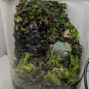 Peut inclure: Un terrarium en verre rempli de mousse verte luxuriante, d'une formation rocheuse sombre et d'une petite figurine de grenouille verte. Le terrarium a un couvercle en verre transparent avec des lumi&egrave;res LED sur le bord.