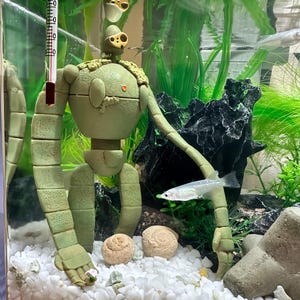 Peut inclure: Un aquarium avec une figurine de robot vert clair, un thermom&egrave;tre et un petit poisson. Le r&eacute;servoir contient du gravier blanc, des plantes vertes et une roche noire. Le robot a un design d&eacute;taill&eacute; avec des membres segment&eacute;s et une t&ecirc;te avec plusieurs yeux.