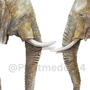 Two Elephants Hand Painted Digital Download, Elephants Wall Decor, Elephant Art