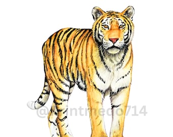 Handbemalter Tiger Kunstdruck, Wohndeko (Digitaler Download)