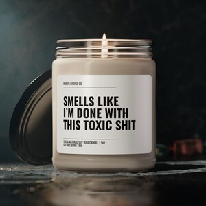 Sarcastic fun Candle, Snarky Candle Gift, Last Nerve Candle, Mental Health Candle, Funny Saying Candle, funny Candle Labels, Snarky Cubicle image 1