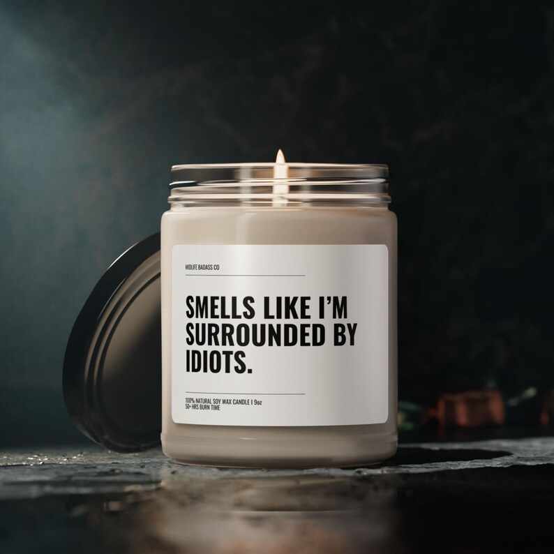 Surrounded By Idiots Candle, Sarcastic Candle, Snarky Office Gift, Funny Work Candle, Corporate Humour, Coworker Gift, Desk Decor image 3