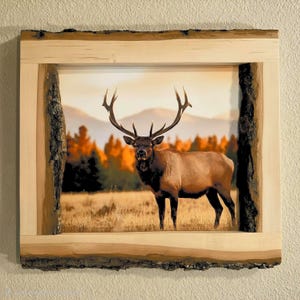 Live Edge Wood Picture Frame: Cabin Style Basswood
