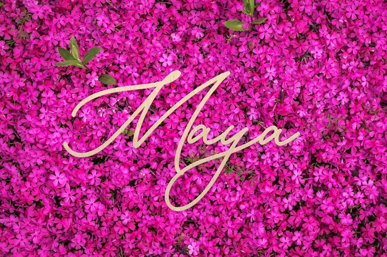 Personalized Baby Shower Sign, Name Sign for Baby Shower Party, Wood Sign, Custom Sign, Backdrop Sign, Custom Name Sign, Backdrop image 10