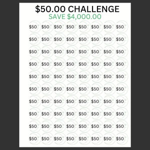 50 Dollar Icon Challenge/Cash Stuffing