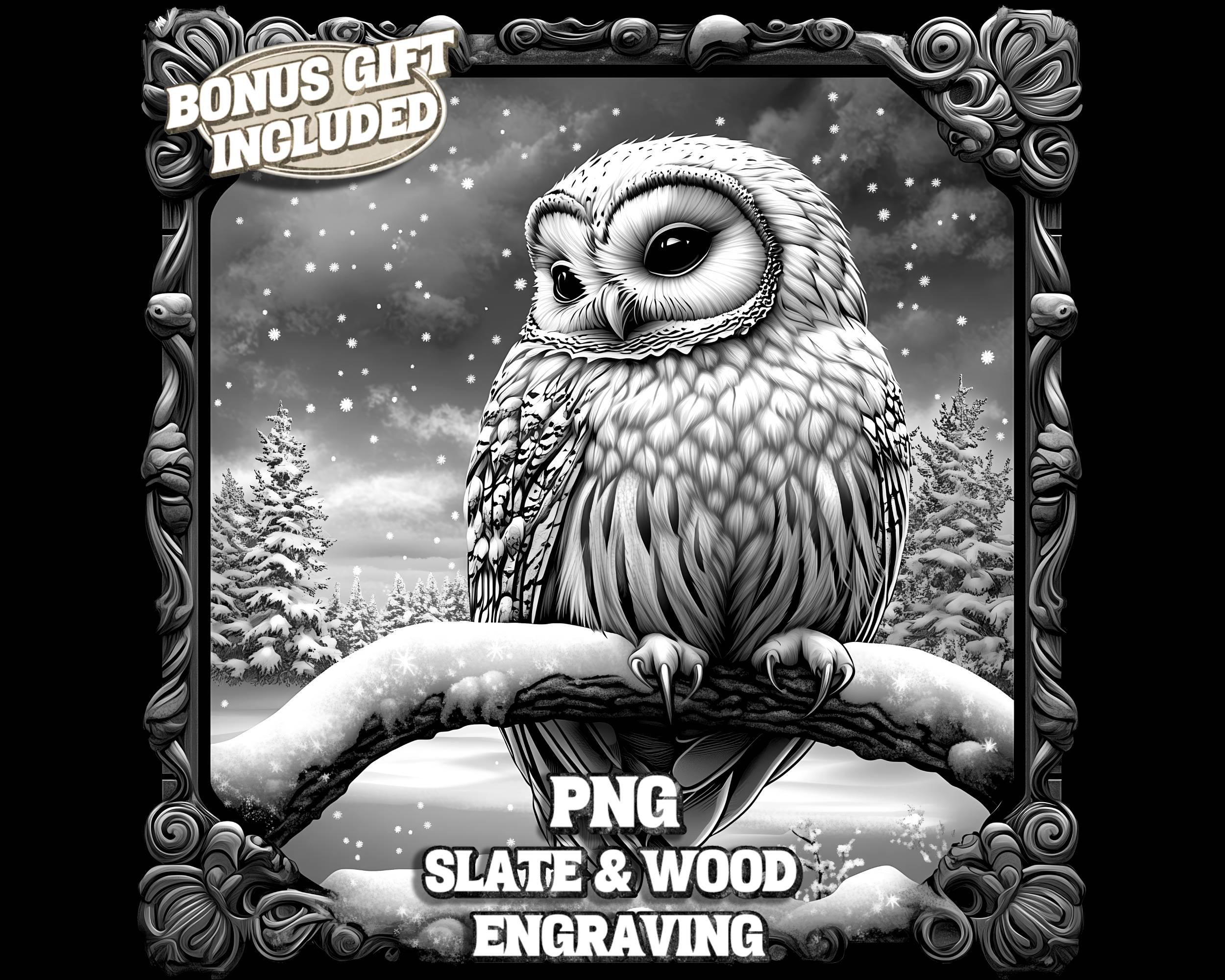 Winter Owl 3D Illusion PNG, Forest Animal Laser Engraving File, Cute Christmas Holiday Coaster Engra