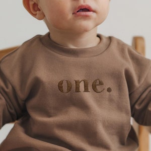 Embroidered Personalised Birthday Sweatshirt, Baby Sweatshirt, Toddler Birthday Top, 1st Birthday Top, 2nd Birthday Sweatshirt, One t-shirt