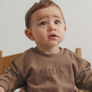 May include: A brown crew neck sweatshirt with the word "one" embroidered in a matching colour. The child is looking upwards, seated in a wooden chair. The sweatshirt is a solid colour, and the text is centred.