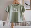 Embroidered Big Brother T-shirt: Sage Green Cotton Top product logo