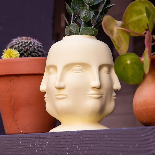 Polyface Planter Vase - Lady Face Sculpture Flower Pot - Unique Multifaced Succulent & Pencil Holder