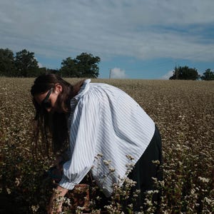 May include: A person wearing a white and blue striped shirt and black pants is picking flowers in a field of white flowers.