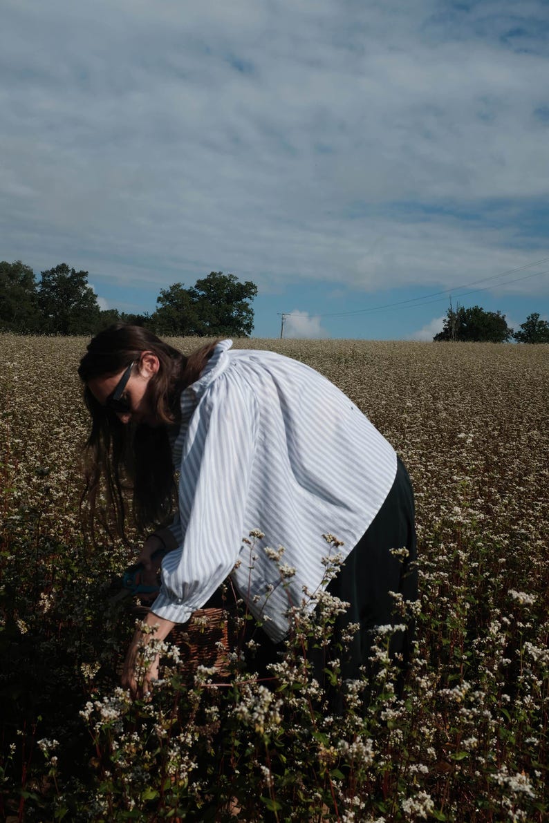 May include: A person wearing a white and blue striped shirt and black pants is picking flowers in a field of white flowers.