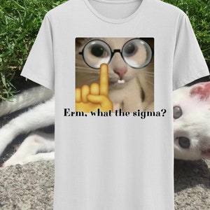 Erm, What The Sigma Ironic Meme Tee Oddly Specific Shirt Dank Meme T Shirt Shit Post Tiktok Brainrot T-Shirt Irony Gift