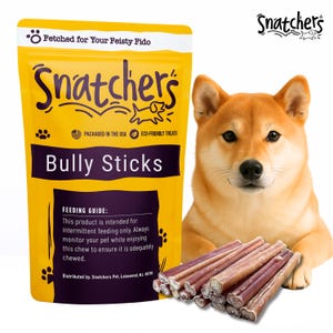 Bully Sticks for Dogs – 6" & 12" Long Lasting Chews | Natural Rawhide Alternative, Odor Free, All-Natural Beef High Protein Dog Treats