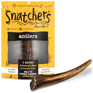 Bois de wapiti entier naturel à mâcher moyen pour chiens - Os de chien biologique longue durée pour mâcheurs agressifs - Gâterie inodore pour bois de cerf toutes tailles