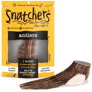Masticable extragrande de asta de alce entera para perros – Hueso de asta orgánico de larga duración para masticadores agresivos – Premio natural sin olor para perros de razas grandes