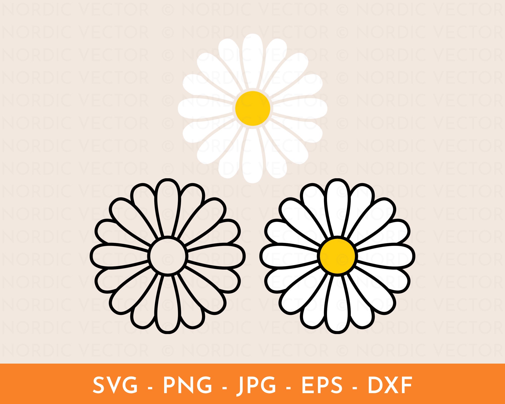 Daisy SVG, Daisy Flower Svg, Retro Daisy Png, Summer Svg, Spring Svg ...