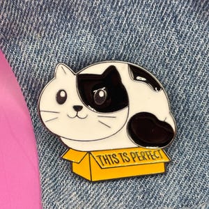Pin’s pins broche épingle / chat dans carton    /  / kawaii / dessin animé / émail