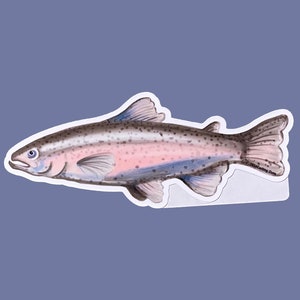 Rainbow Trout Sticker, fish decal, trout decal, original art fish sticker