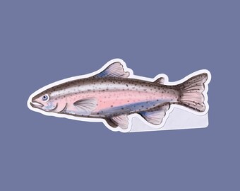 Rainbow Trout Sticker: Original Art Fish Decal