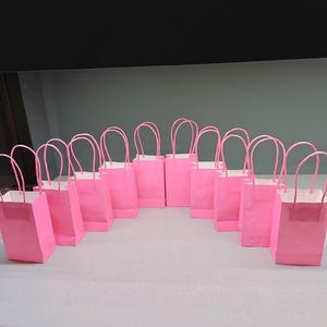 May include: A group of pink paper gift bags with white interiors and pink handles. The bags are arranged in a semi-circle on a light surface, with a dark background. Each bag is empty.