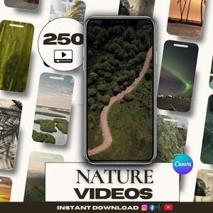 Mais de 250 modelos de vídeos sem rosto com estética da natureza para Canva - Vídeos relaxantes de floresta verde e botânica para Instagram, TikTok e conteúdo ASMR de bem-estar.