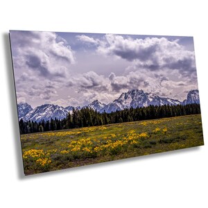 Grand-Teton-Nationalpark | Gelbe Blumenwiese | Wyoming | Drucken | Leinwand | Acryl | Metall