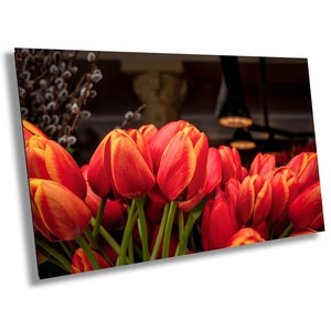 Op de afbeelding: Een boeket rode en gele tulpen met groene stelen. De tulpen zijn in een vaas gerangschikt en scherp in beeld. De achtergrond is wazig.