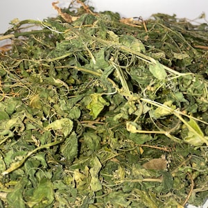 Dog Blood Herbs
