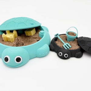 Sand Box Turtle/Zen Garden
