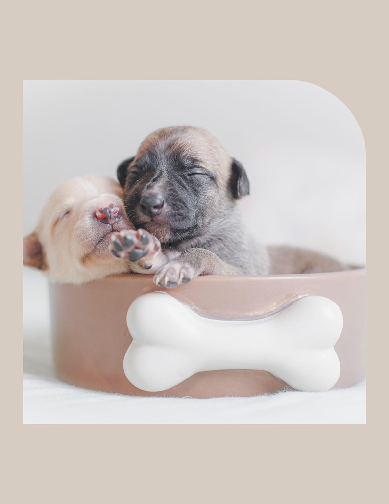 May include: Two small puppies sleeping in a brown dog bed with a white bone-shaped design. The puppies are curled up together, with one puppy's head resting on the other's back.