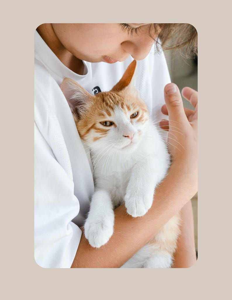 May include: A young person holding a white and orange cat with brown eyes. The cat is looking at the camera.