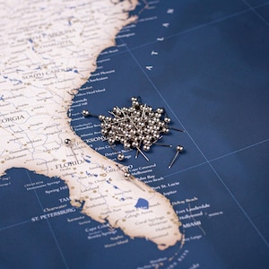 Silver Map Push Pins – Travel Map Markers (Set of 20+)
