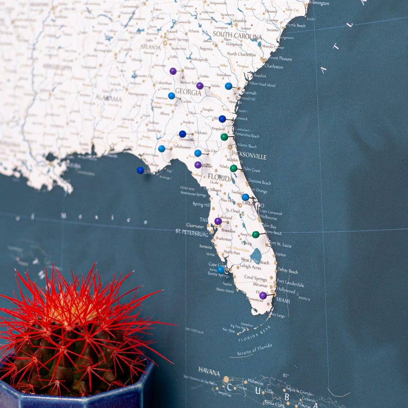 Puede incluir: Un mapa detallado del sureste de los Estados Unidos, con un enfoque en Florida, Georgia y Carolina del Sur. El mapa es azul oscuro con texto blanco y alfileres de colores que marcan ubicaciones. Un cactus rojo en una maceta azul est&aacute; en primer plano.