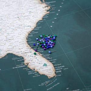 Puede incluir: Un mapa detallado del sureste de los Estados Unidos con un grupo de chinchetas de colores. Las chinchetas son en tonos de verde, azul y morado. El mapa muestra Florida, Georgia y partes de los estados vecinos.