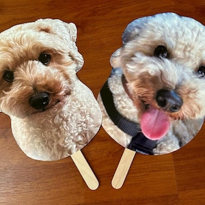 Recortes de caras, suministros para cumpleaños de mascotas, caras en un palo para fiestas, accesorios para despedidas de soltera, accesorios para fotomatón de amigos, regalos fotográficos personalizados