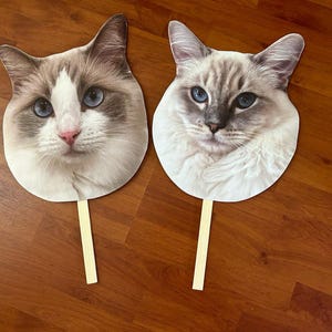 Cabeza grande en palo, cara de mascota en palo, cabezas grandes de perro, cabezas grandes de gato, regalo para mamá de perro, regalo para dueños de mascotas, accesorios de boda, accesorio para fotomatón