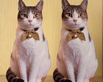 Recortes de cartón de tamaño natural para mascotas, recuerdos para mascotas, recuerdos de boda