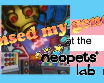 vinyl sticker “transed my gender at the virtual lab ray”
