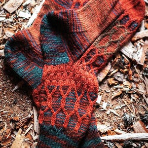 May include: A pair of hand-knitted socks in a colourful pattern of red, orange, teal, and brown. The socks have a cable knit design and are lying on a bed of wood shavings.