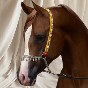 Handmade Syrian Arabian & Egyptian Horse Show Halter - Authentic Design, Multiple Colors