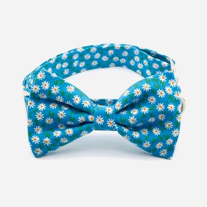 Happycavalier Blue Daisy Collar Set