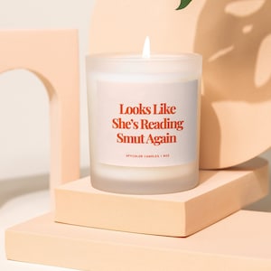 Fantasy Book Lover Candle-geschenkdoos, leesgrage kaarsen, grappig kaarscadeau voor lezer, leesgrage merchandise, smutty-cadeaus, ruikt naar kaars