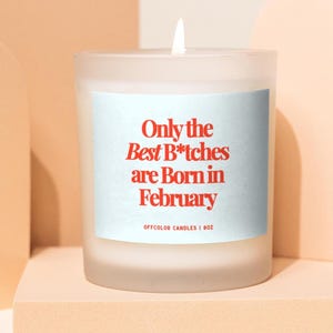 Funny February  Birthday Candle Gift for Best Friend, Zodiac Candle Gift for Her, Birthday Party Decor, 21st Birthday, Personalized Gift